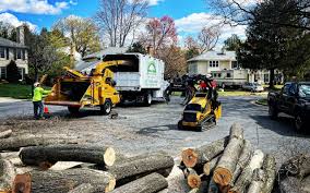Best Landscape Design and Installation  in Warrensville Heights, OH